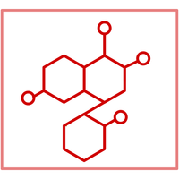 <strong>Cells Are Activated</strong>